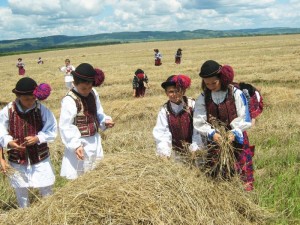 Buzdugan