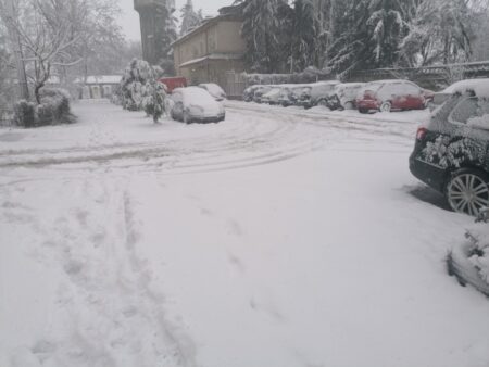 IMG_20210317_071622