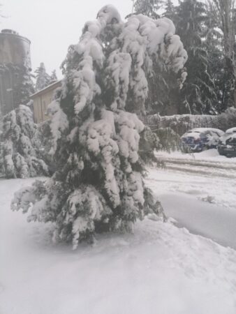 IMG_20210317_071644