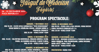 Captură De Ecran 2024 11 26 123217
