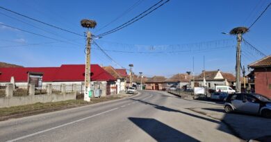 Comana7