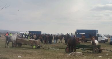 Fb img 1741692128434