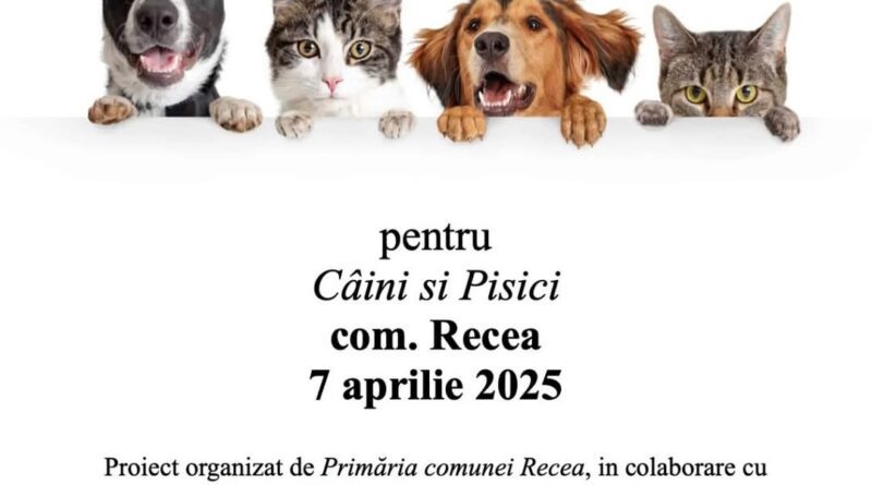 Fb img 1743442617417