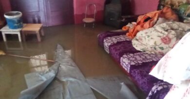 Inundatii 1