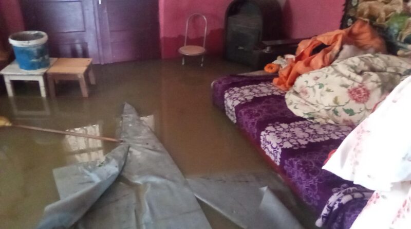 Inundatii 1