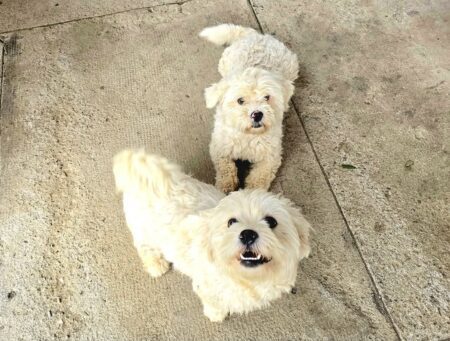 Fb img 1752477851242