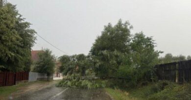 Img 20250716 204844 951