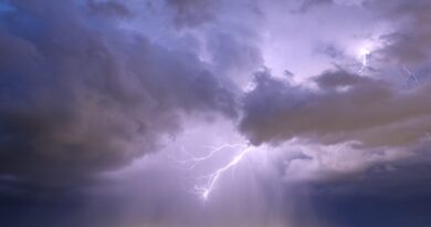 Vijelie fulgere shutterstockfoto crop 850x478