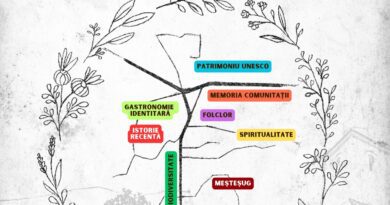 Mandra fest