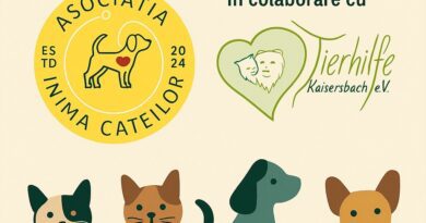 Campanie sterilizare sept